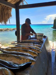 10 mahi mahicuracao fishing