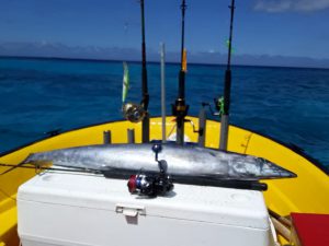 1 wahoo curacao fishing