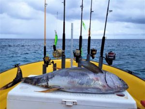 8 tuna curacao fishing